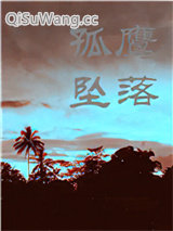 当孤鹰坠落小说