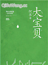 大宝贝小说
