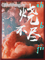 烧不尽小说