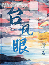 台风眼小说