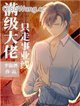 满级大佬只走事业线小说