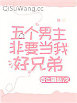 五个男主非要当我好兄弟小说