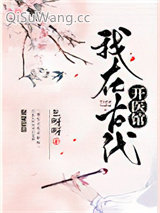 我在古代开医馆小说