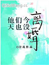 他们今天也没离婚小说