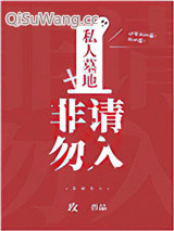 私人墓地，非请勿入小说