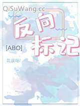 反向标记abo小说