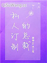 私人订制的总裁小说