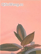 [古风]恶名远播的大佞臣原来是个美强惨小说