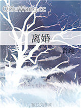 离婚（离婚ABO）小说