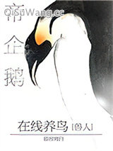 帝企鹅在线养鸟小说