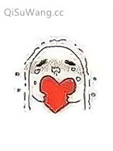 被爱妄想症小说