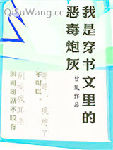 我是穿书文里的恶毒炮灰小说