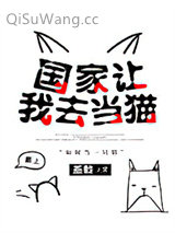 国家让我去当猫小说