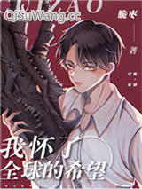 我怀了全球的希望小说