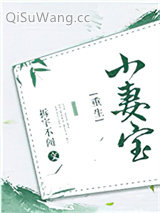 小妻宝[重生]小说