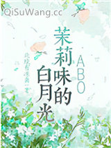 茉莉味的白月光小说