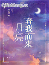 月亮奔我而来小说