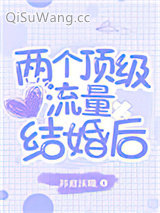 两个顶级流量结婚后小说