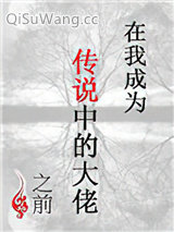 在我成为传说中的大佬之前小说