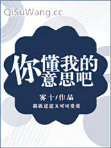 你懂我的意思吧小说