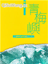 青梅屿小说