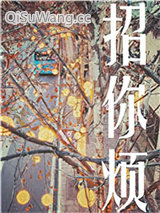 招你烦小说