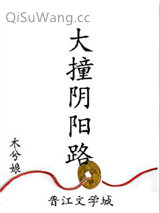 大撞阴阳路小说