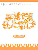 要媳妇还是要儿子[重生]小说