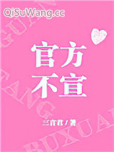 官方不宣[娱乐圈]小说