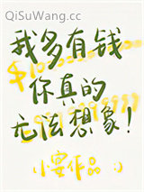 我多有钱你真的无法想象小说