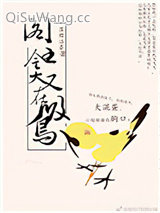 爷就是这样的鸟儿小说