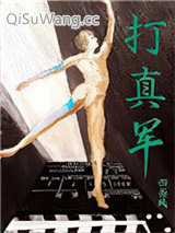 打真军小说