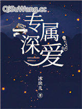 专属深爱小说