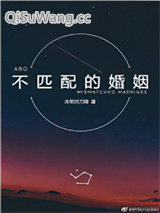 不匹配的婚姻小说