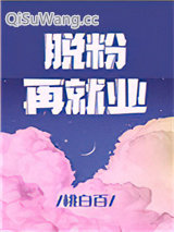 脱粉再就业小说