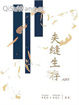 夹缝生存ABO小说