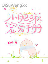 小肥啾宠爱手册小说