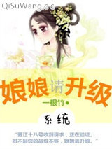 娘娘，请升级小说