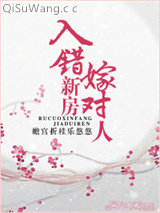 入错新房嫁对人小说