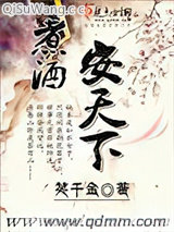 煮酒安天下小说