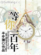 等你一百年小说
