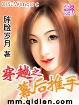 穿越之幕后推手小说