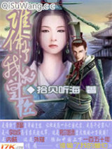 谁偷了我的皇位小说