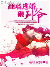 翻墙逃婚,砸到爷小说