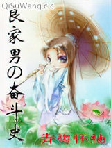 良家男的奋斗史小说