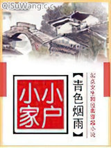 小家小户小说