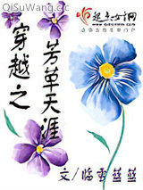 穿越之芳草天涯小说