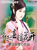 穿越之春暖花开小说