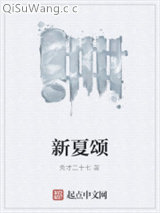 新夏颂小说