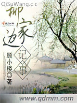 柳家边记事小说